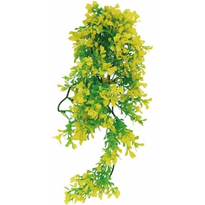 Lucky Reptile Bacopa 40 cm
