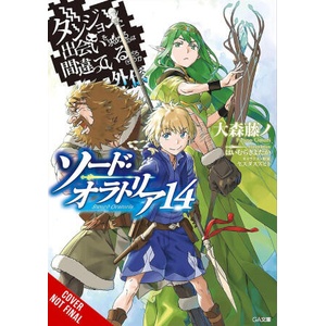 IS IT WRONG TO TRY SWORD ORATORIA V14 LN (ISBN: 9781975394394)