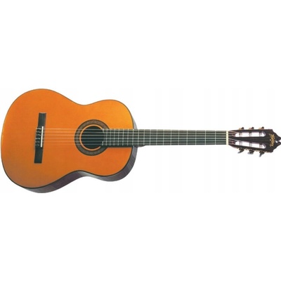 Washburn Flamenco – Zboží Mobilmania