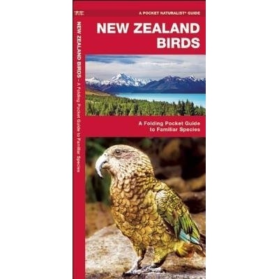 New Zealand Birds