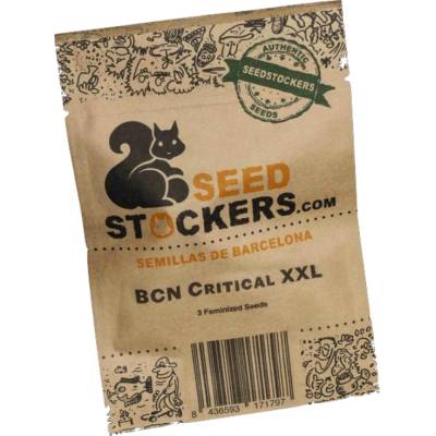 Seedstockers BCN Critical XXL semienka neobsahujú THC 5 ks