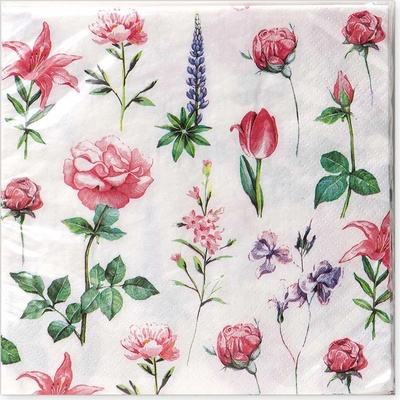 Argus Papírové ubrousky 33x33 cm 20ks 19035003