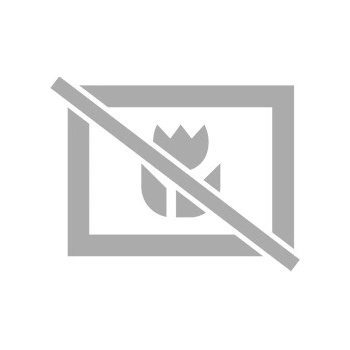 Teka Classic Angular 2B