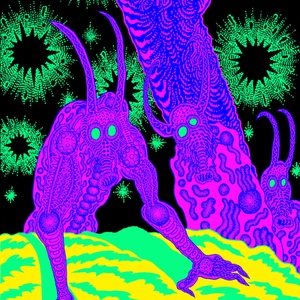 Thee Oh Sees - Abomination Revealed At Last (LP) (0657628454311)