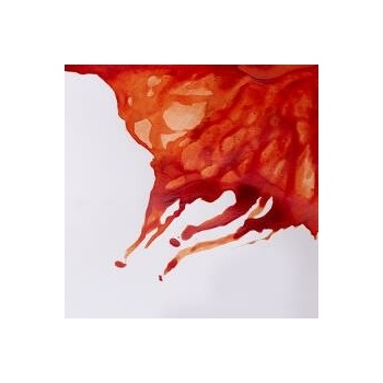 Winsor & Newton drawing INK Burnt sienna