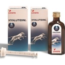 Gramme-Revit GmbH Hyalutidin DC pro psy a kočky 2 x 125 ml
