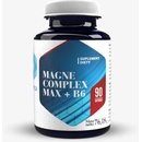Hepatica magne complex max + b6 90 kapsúl