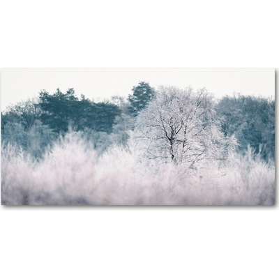 Foto obraz sklo tvrzené stromy zimou 100x50 cm