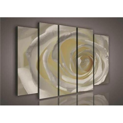 Obraz na plátně růže bílá 1073S12, rozměr 150 x 100 cm, IMPOL TRADE