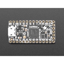 Adafruit ItsyBitsy M4 Express