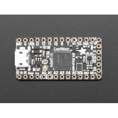 Adafruit ItsyBitsy M4 Express