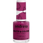Andreia Professional Nutri Color Care & Color NC19 10,5 ml
