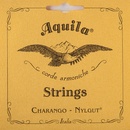 Aquila 1CH