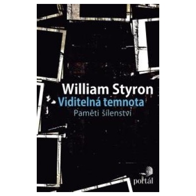 Viditelná temnota