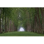 DIMEX ART Флизелинов фототапет версайски парк 375 x 250 см