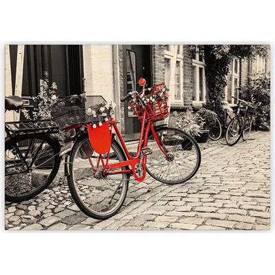 Helma 365 Dřevěný obraz Bicycle