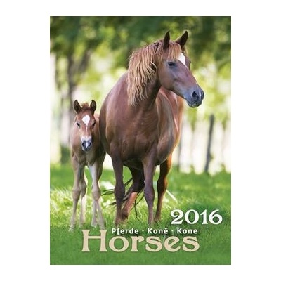nástěnný Koně Horses 2016