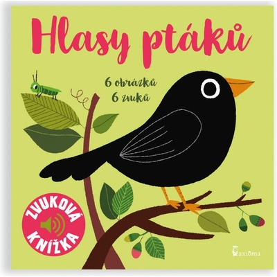 Hlasy ptáků - Zvuková knížka - neuveden