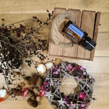 doTerra Esenciálny olej Peppermint 15 ml
