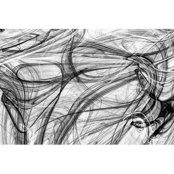 DIMEX ART s. r. o Флизелинов фототапет черно-бял дизайн 375 x 250 см