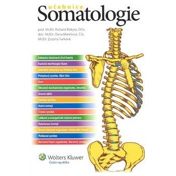 Somatologie