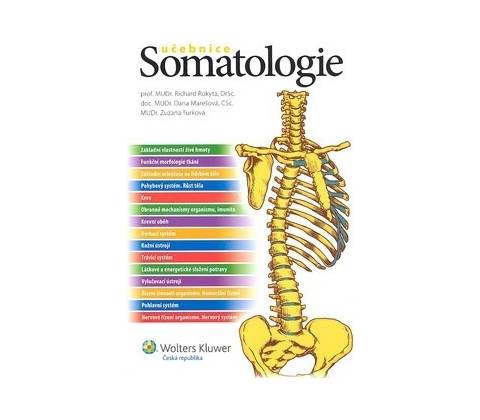 Somatologie
