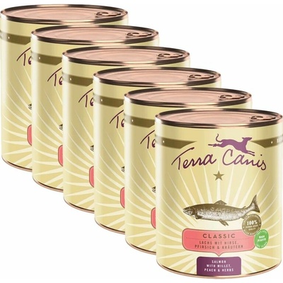 Terra Canis Salmon with millet peach & herbs 6 x 800 g