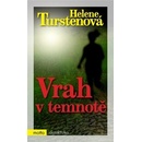 Vrah v temnotě