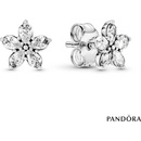 Pandora 299239C01