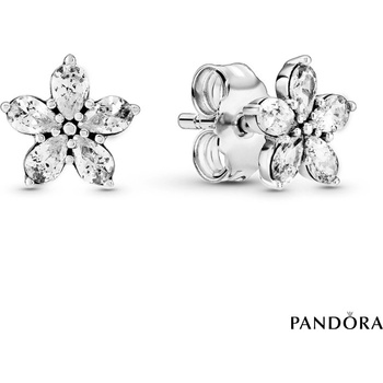 Pandora 299239C01