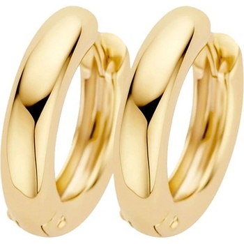 Blush Златни дамски обеци Blush 7316YGO (7316YGO)