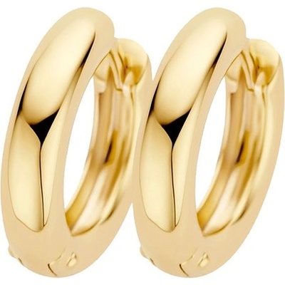 Blush Златни дамски обеци Blush 7316YGO (7316YGO)