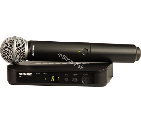 Shure BLX24E/PG58