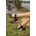 Erbil Shoes Дамски сандали с ток - Черни #370967 (370967_Черно)