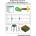 Engineering Analysis with ANSYS Workbench 19
