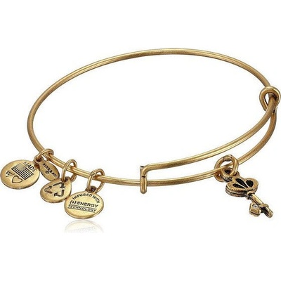 Alex and Ani dámsky náramok A09EB138RG