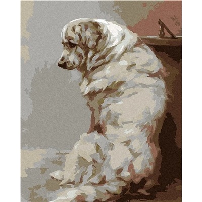 ZUTY Malování podle čísel VELKÝ BÍLÝ PES 40 x 50 cm