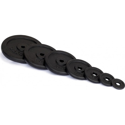 TRINFIT Kotouče na činky litina 2,5 kg / 25 mm – Zboží Mobilmania