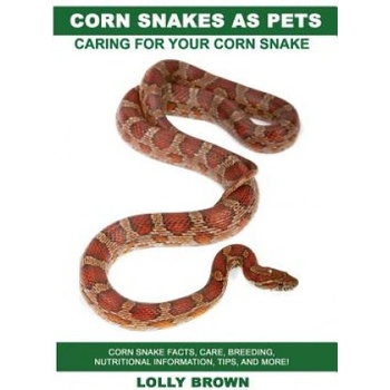 Corn Snakes as Pets: Corn Snake facts, care, breeding, nutritional information, tips, and more! Caring For Your Corn Snake | Lolly Brown