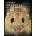 Handbook of the Mammals of the World. Vol. 7 | Don E. Wilson