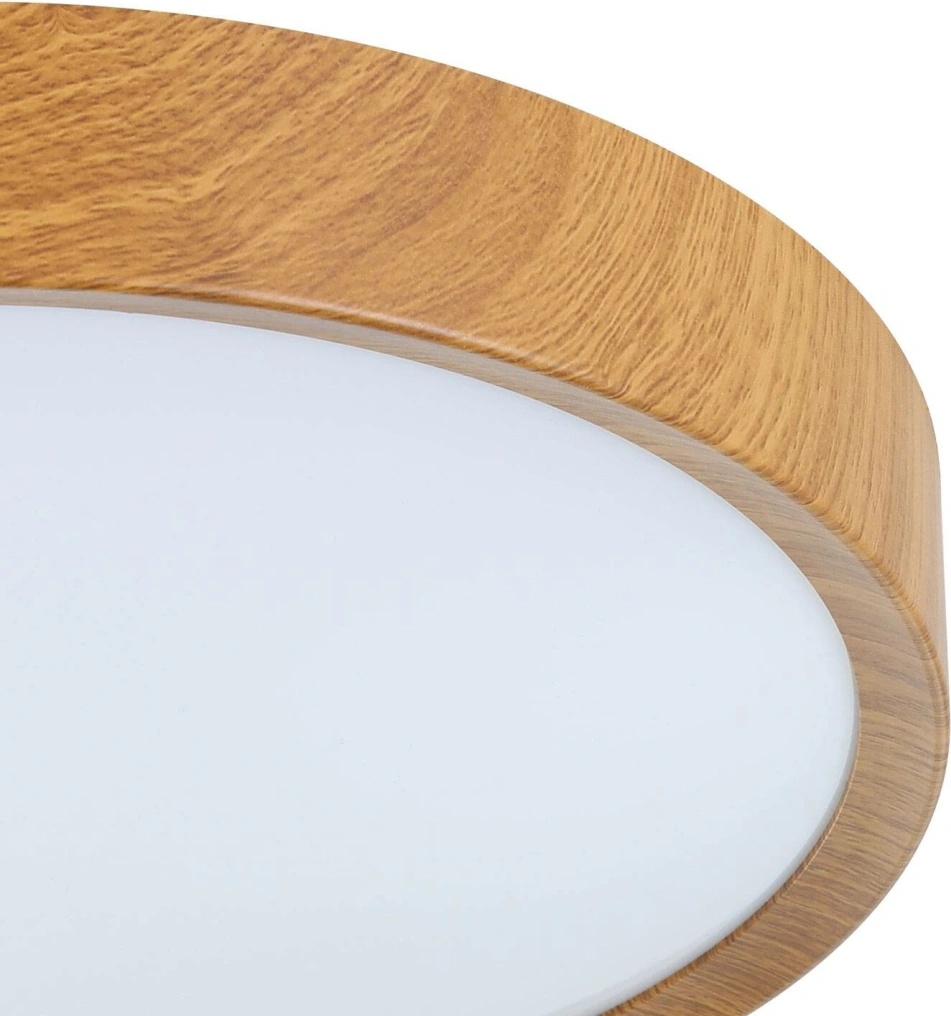 Eglo 98601