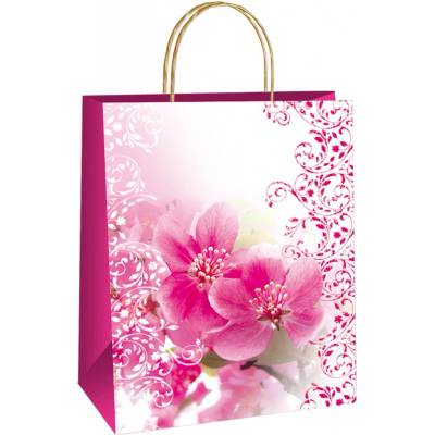 Ditipo Darčeková taška EKO mix motívov, 18 x 8 x 24 cm, 1 ks