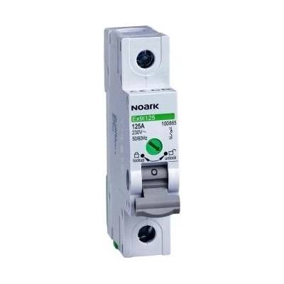 Noark Electric Ex9l125 1P 32A 100862