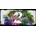 Guild Wars 2 Complete