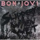 BON JOVI: SLIPPERY WHEN WET CD