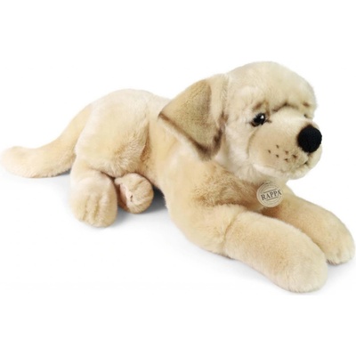 Eco-Friendly Rappa pes retriever ležiaci