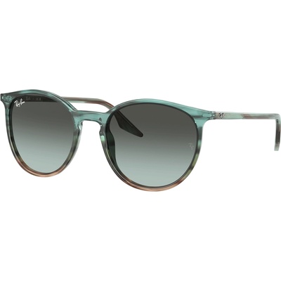 Ray-Ban RB2204 1394GK