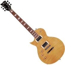 ESP-LTD EC-256