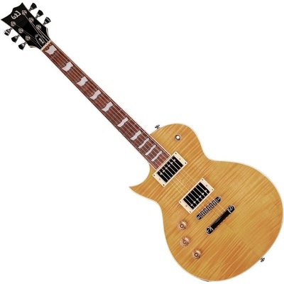 ESP-LTD EC-256