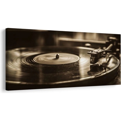 Obraz vintage gramofonová deska - 80x40